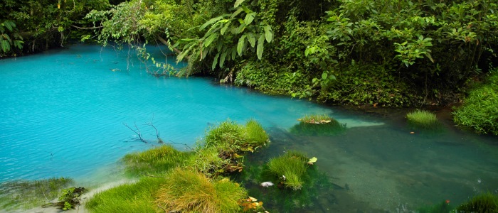 nature-hiking-can-be-done-here-to-admire-the-local-rainforest-or-the-blue-waterfall