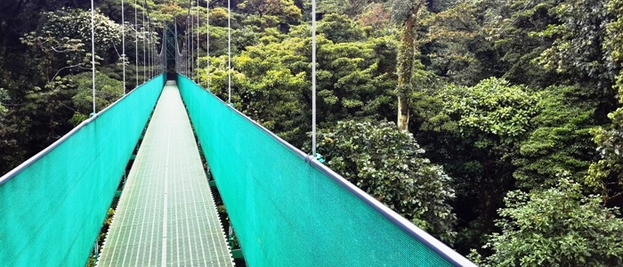 this nature tour is a great option when visiting the arenal volcano area