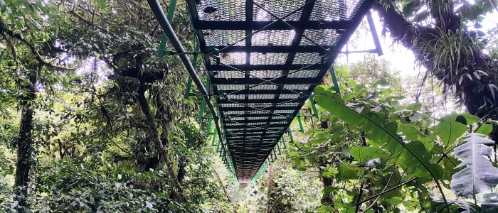 best costa rica hanging bridges tours