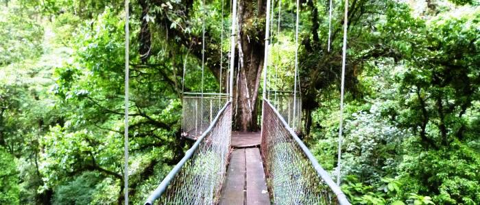 go to the guanacaste hanging bridges on your costa rica family vacation