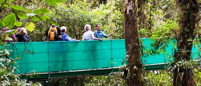 costa rica vacation at the hanging bridges park