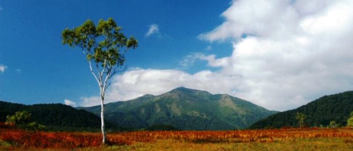 rincon-de-la-vieja-volcano-tour-from-guanacaste