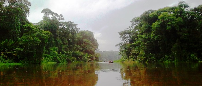 beautiful tortuguero national park
