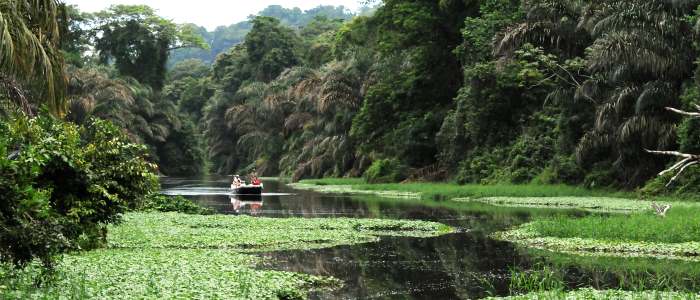 boat ride in the tortuguero canals