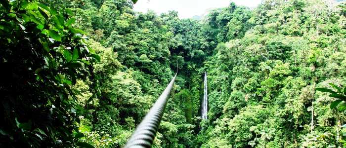 great views of the exuberant vegetation wildlife and waterfalls