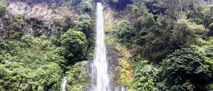 the name of this place is waterfalls paradise and the name really fits