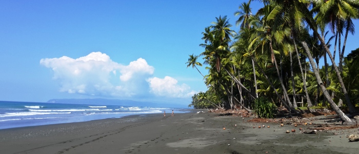 pavones beach in the south pacific coast 