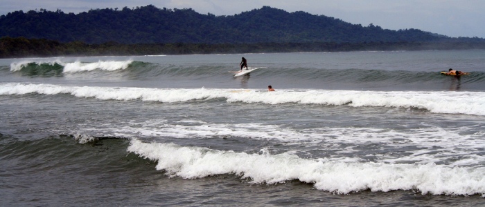 puerto viejo beach near cahuita national park