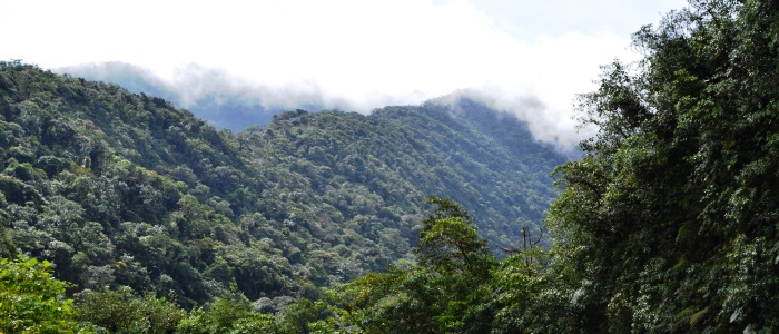 this is one of the biggest national parks in costa rica
