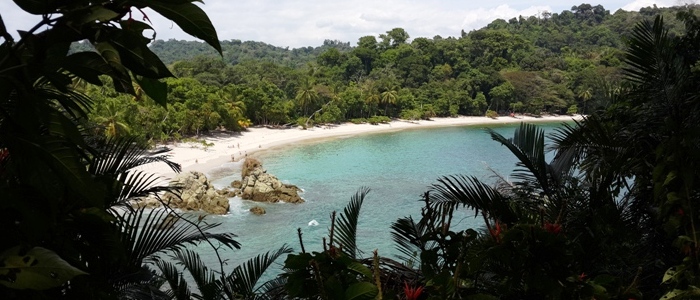 there are many hotels in manuel antonio with all kinds of styles and rates