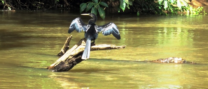 one of the best places to do nature tours in costa rica