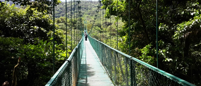 Tours from Guanacaste Costa Rica, adventure, nature & wildlife
